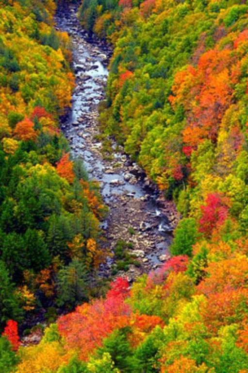 דייוויס Blackwater Falls State Park Lodge מראה חיצוני תמונה